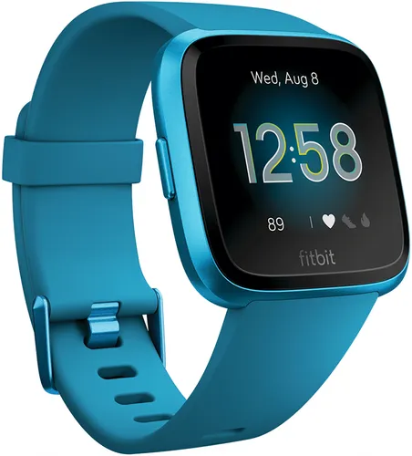 Fitbit online lite