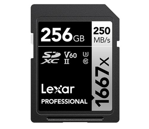 LEXAR LSD256CB1667